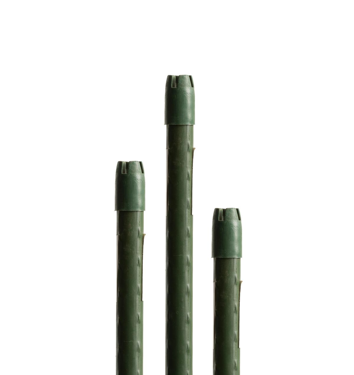 Rankhilfe Pflanzstab Grün - Grün, Basics, Kunststoff/Metall (90cm)