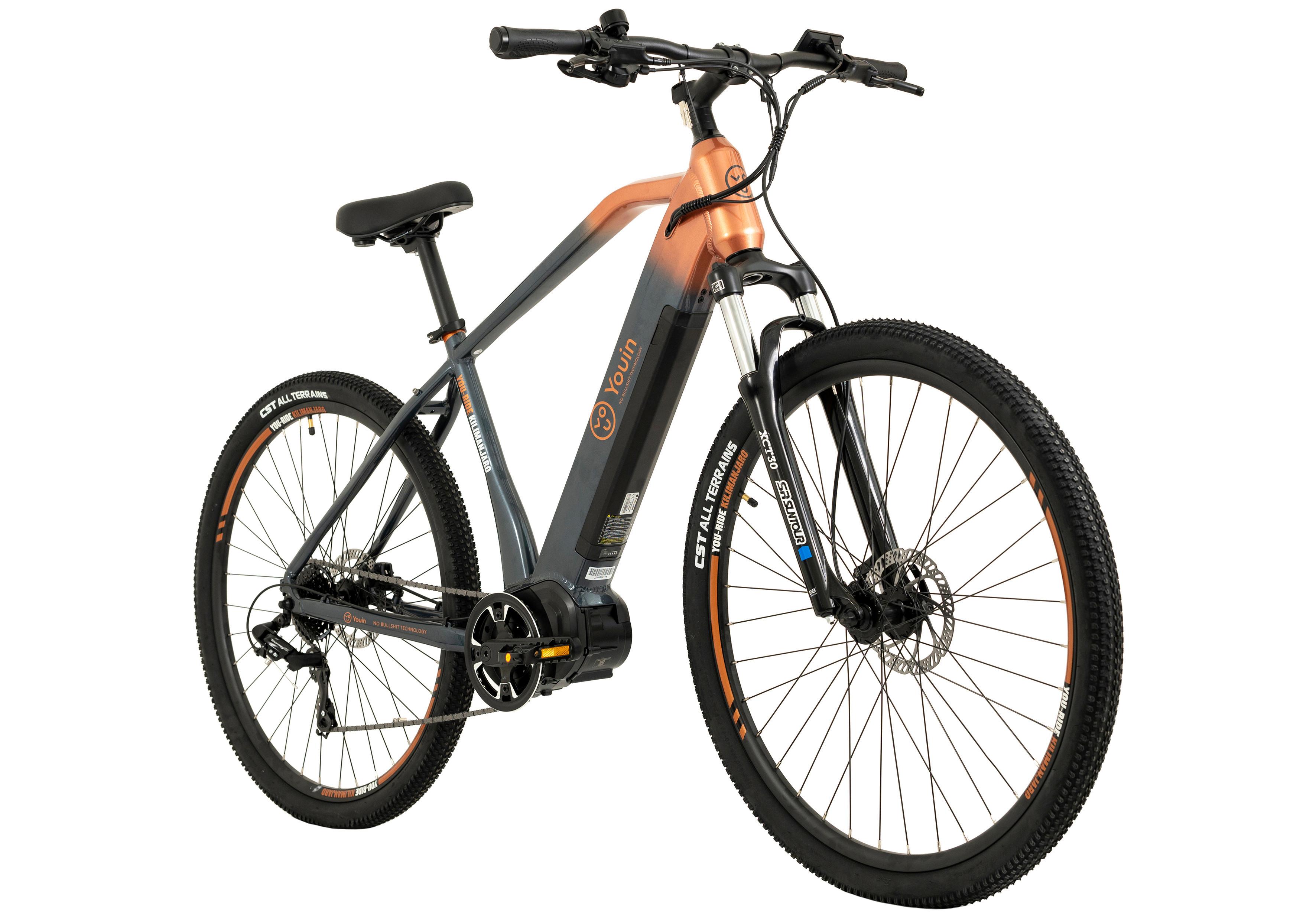 Elektrofahrrad Totem E-Mtb Grau, Orange, 29 Zoll - Grau, Basics, Metall (21/116/188cm)