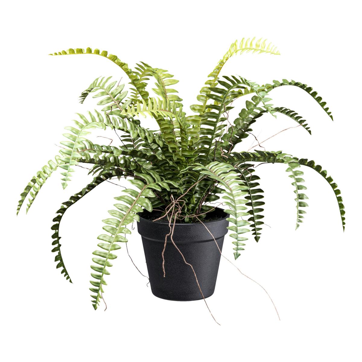 Kunstpflanze Grünpflanzen Grün/Braun/Schwarz, 35 cm - Schwarz/Braun, Design, Kunststoff (35cm) - P & B