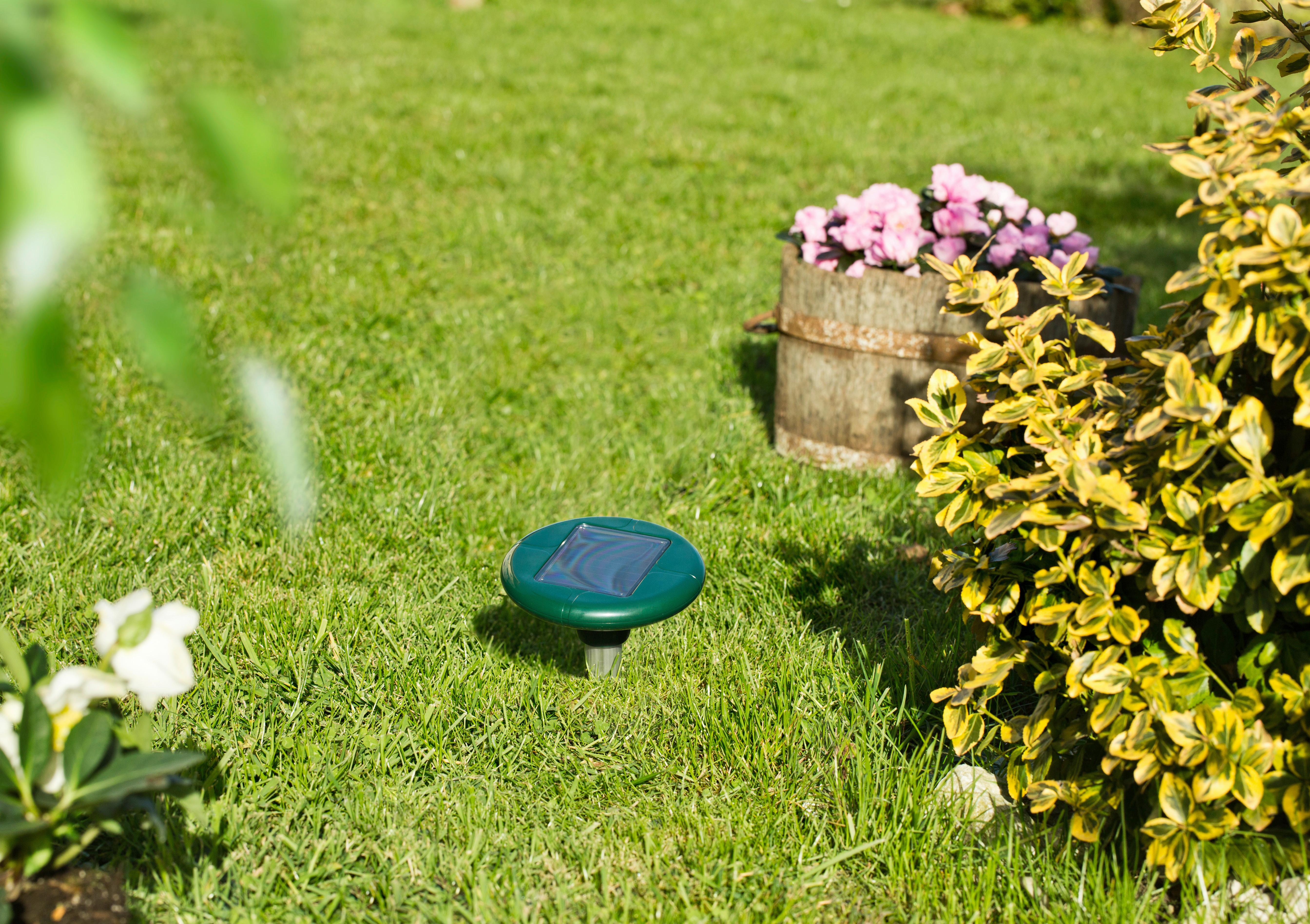 Ultraschall-Tiervertreiber Wühlmaus Solar 4 Star - Grün, Basics, Kunststoff (160cm)