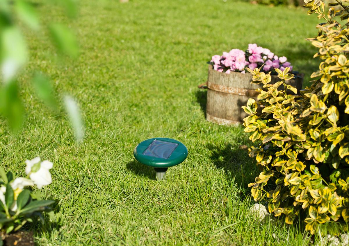 Ultraschall-Tiervertreiber Wühlmaus Solar 4 Star - Grün, Basics, Kunststoff (160cm)