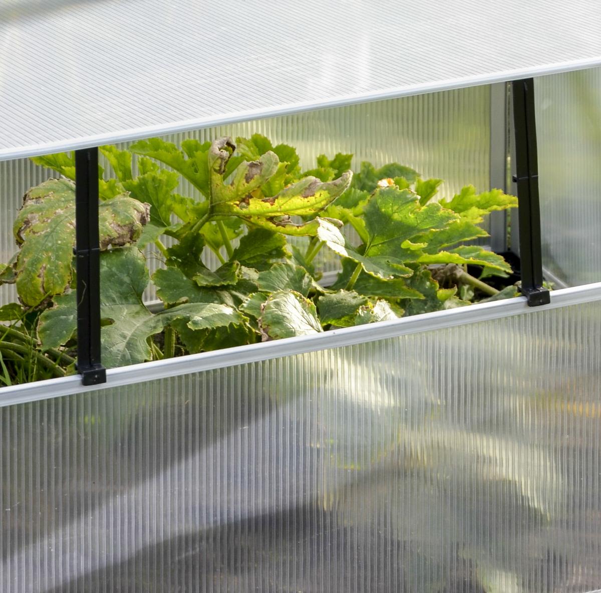 Frühbeet Abdeckung Transparent BxHxT: ca. 100x40x60 cm - Transparent, Basics, Kunststoff/Metall (100/40/60cm) - Homezone