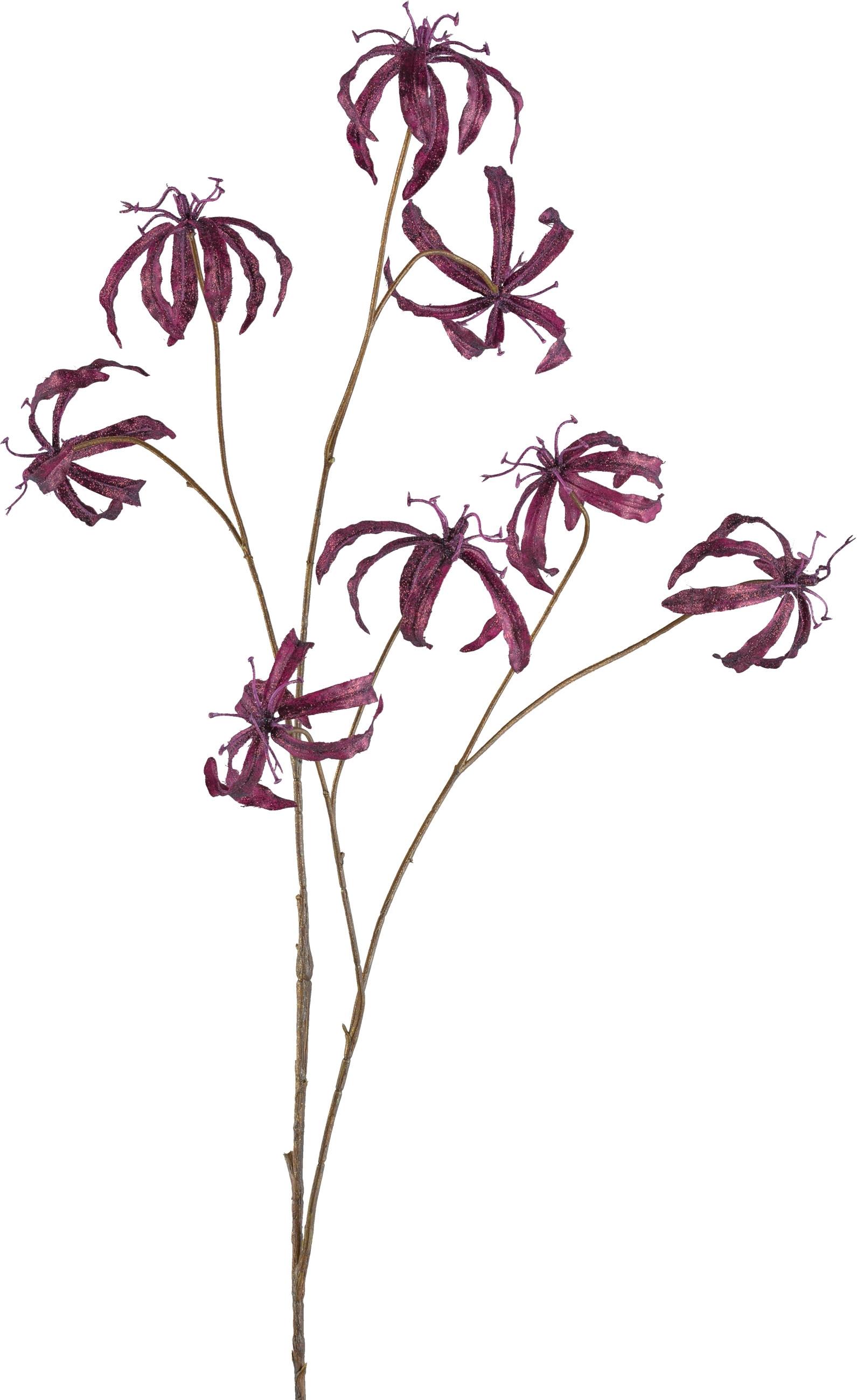 Dekozweig Gloriosa