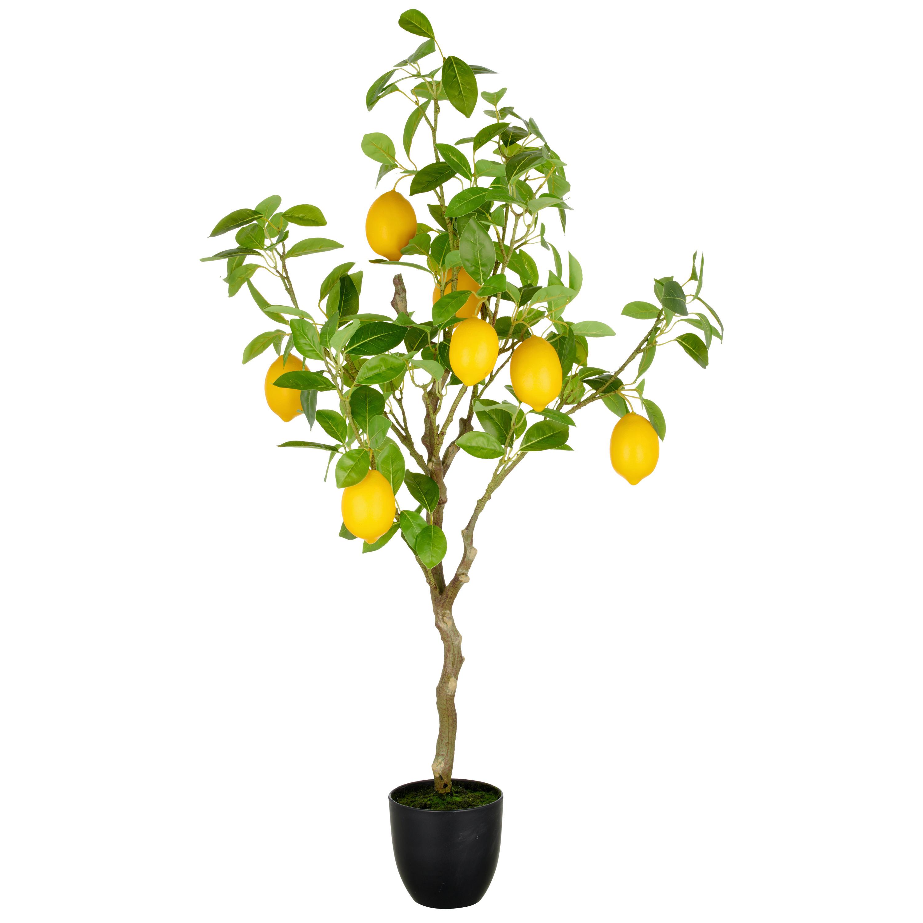 Kunstpflanze Gelb Grün Braun B: 21 cm - Gelb/Braun, Basics, Kunststoff (21/115/21cm)