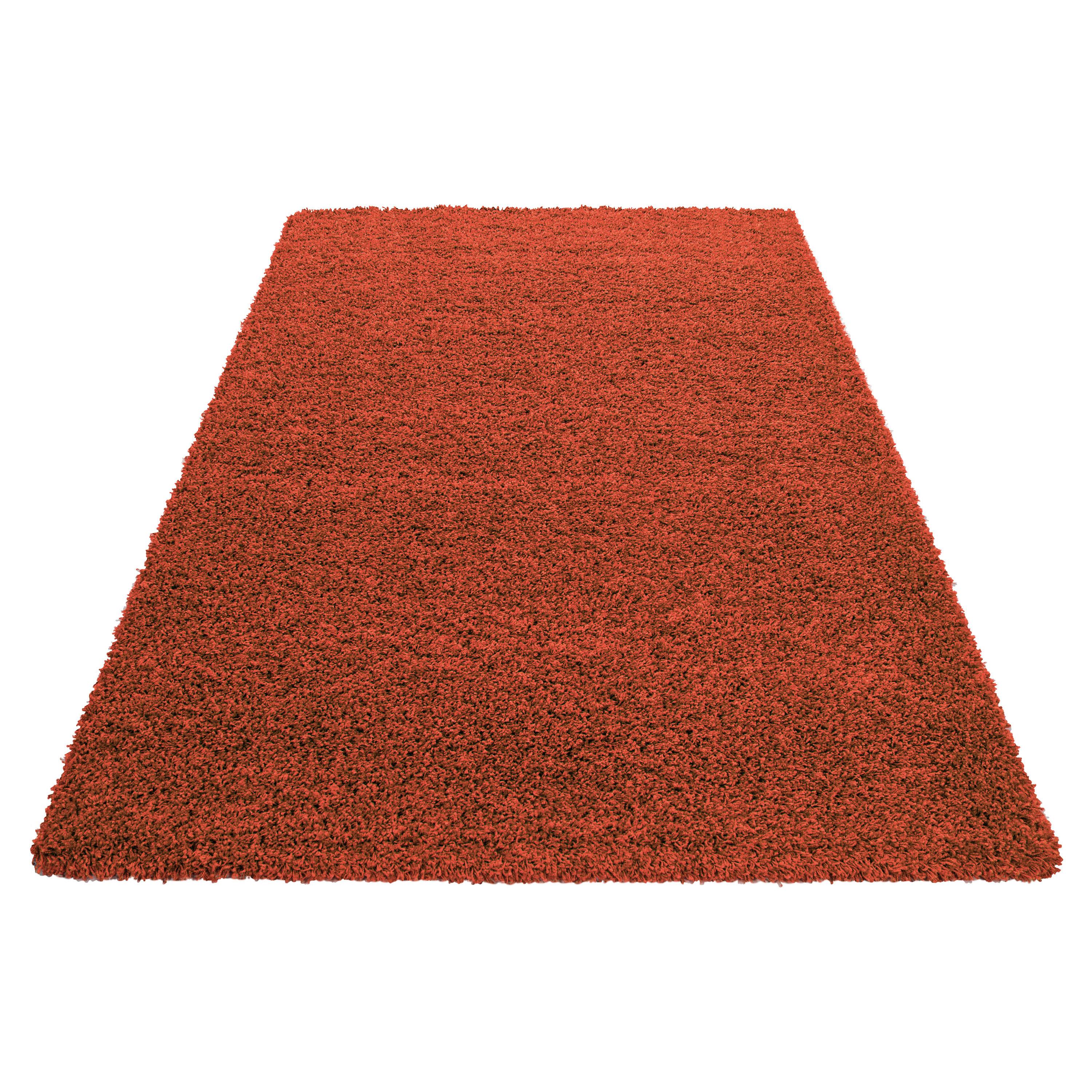 Hochflor Teppich Terra Cotta Life 80x150 cm - Terracotta, KONVENTIONELL, Textil (80/150cm) - Novel