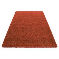 Hochflor Teppich Terra Cotta Life 120x170 cm - Terracotta, KONVENTIONELL, Textil (120/170cm) - Novel