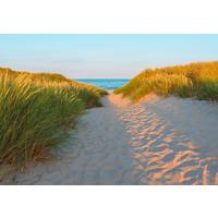 Fototapete Sandy Path - Natur, Papier (368/254cm)