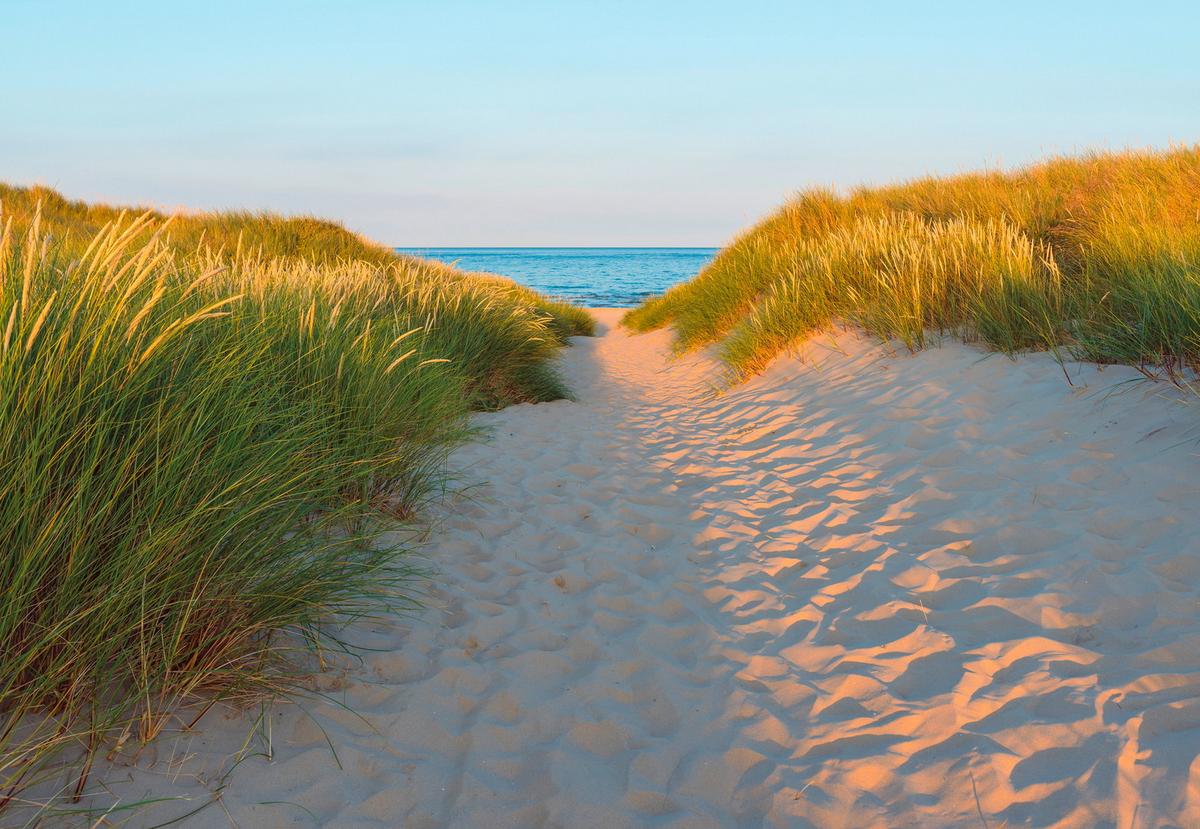 Fototapete Sandy Path - Natur, Papier (368/254cm)