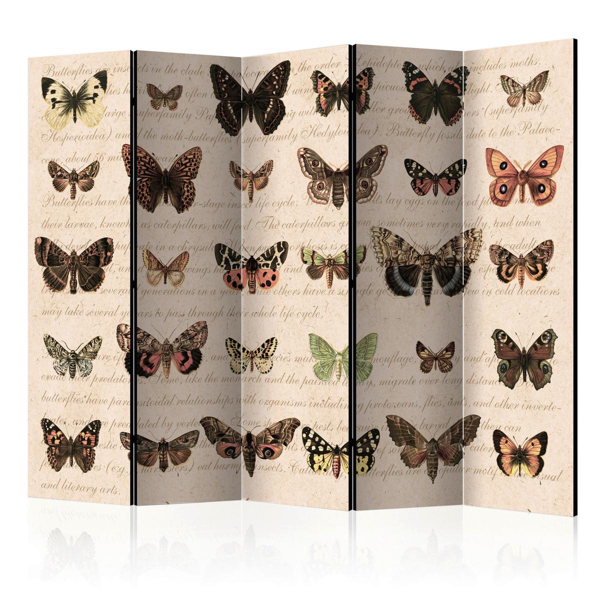 Paravent Braun Beige B: 225 cm - Beige/Braun, Basics, Holz/Textil (225/172/3cm) - artgeist