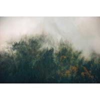 Vliestapete Sh036-Vd3 Tales Of The Carpath - Natur (300/200cm)