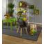 Kinderstuhl Bambino Style Grau - Birkefarben/Grau, MODERN, Holz/Kunststoff (42/57,5/30cm) - Ombra