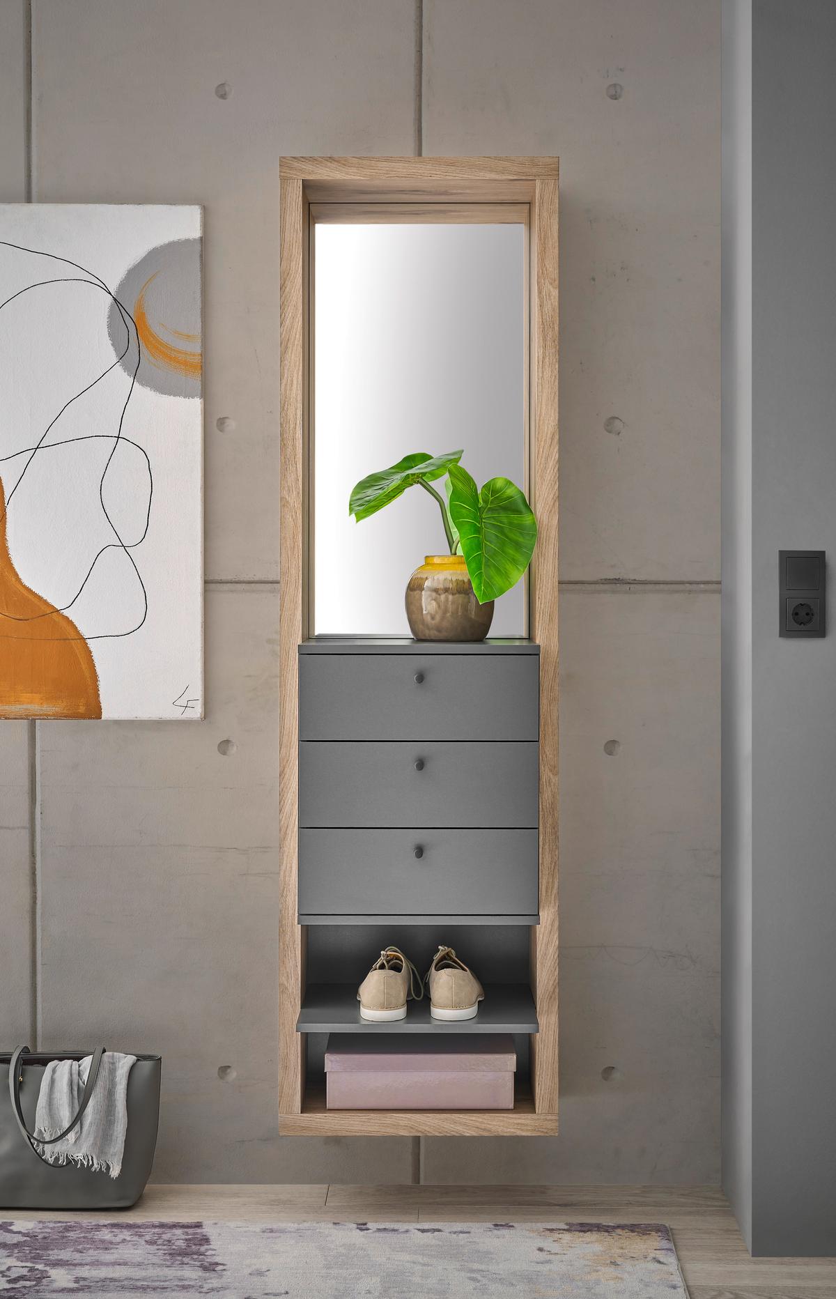 PREDSIEŇOVÝ NÁBYTOK FRAME - farba duba/antracitová, Basics, kompozitné drevo/sklo (51/178/35cm) - Carryhome