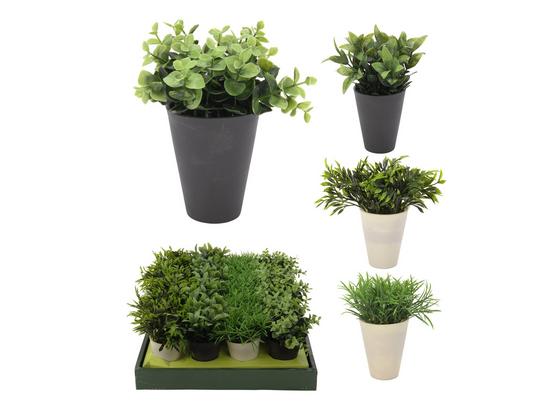 Dekopflanze Cassandra - Champagner/Braun, LIFESTYLE, Kunststoff (16/18cm) Dekopflanze Cassandra - Champagner/Braun, LIFESTYLE, Kunststoff (16/18cm)