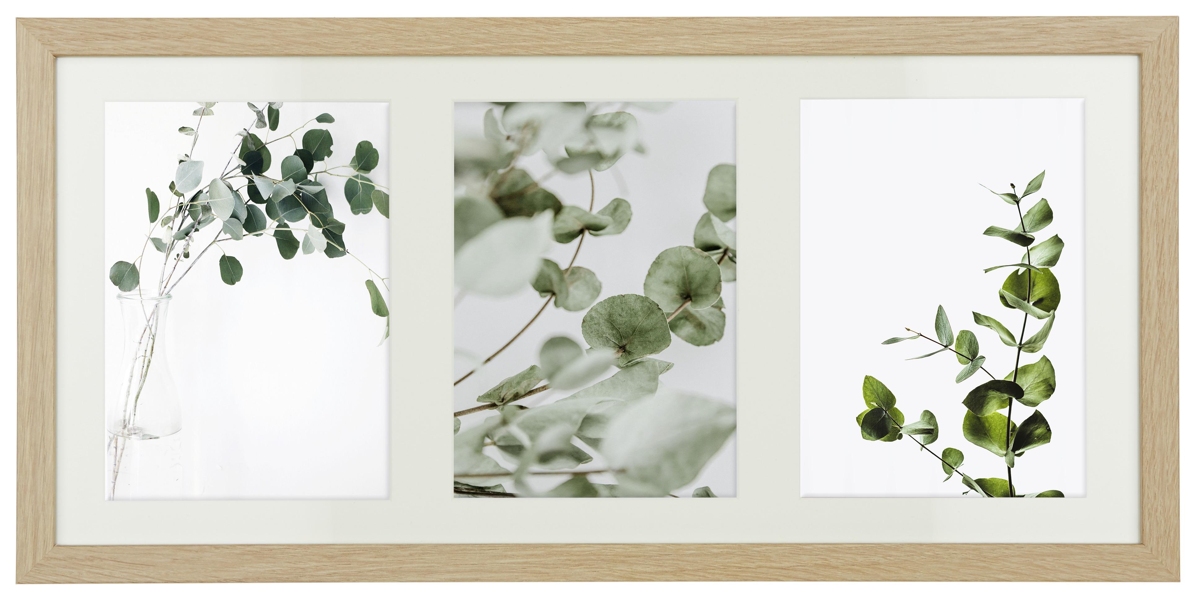 Rám Na Obrazy Gitta 50x23 Cm - barvy dubu, dřevo/kompozitní dřevo (50/23cm) - Modern Living