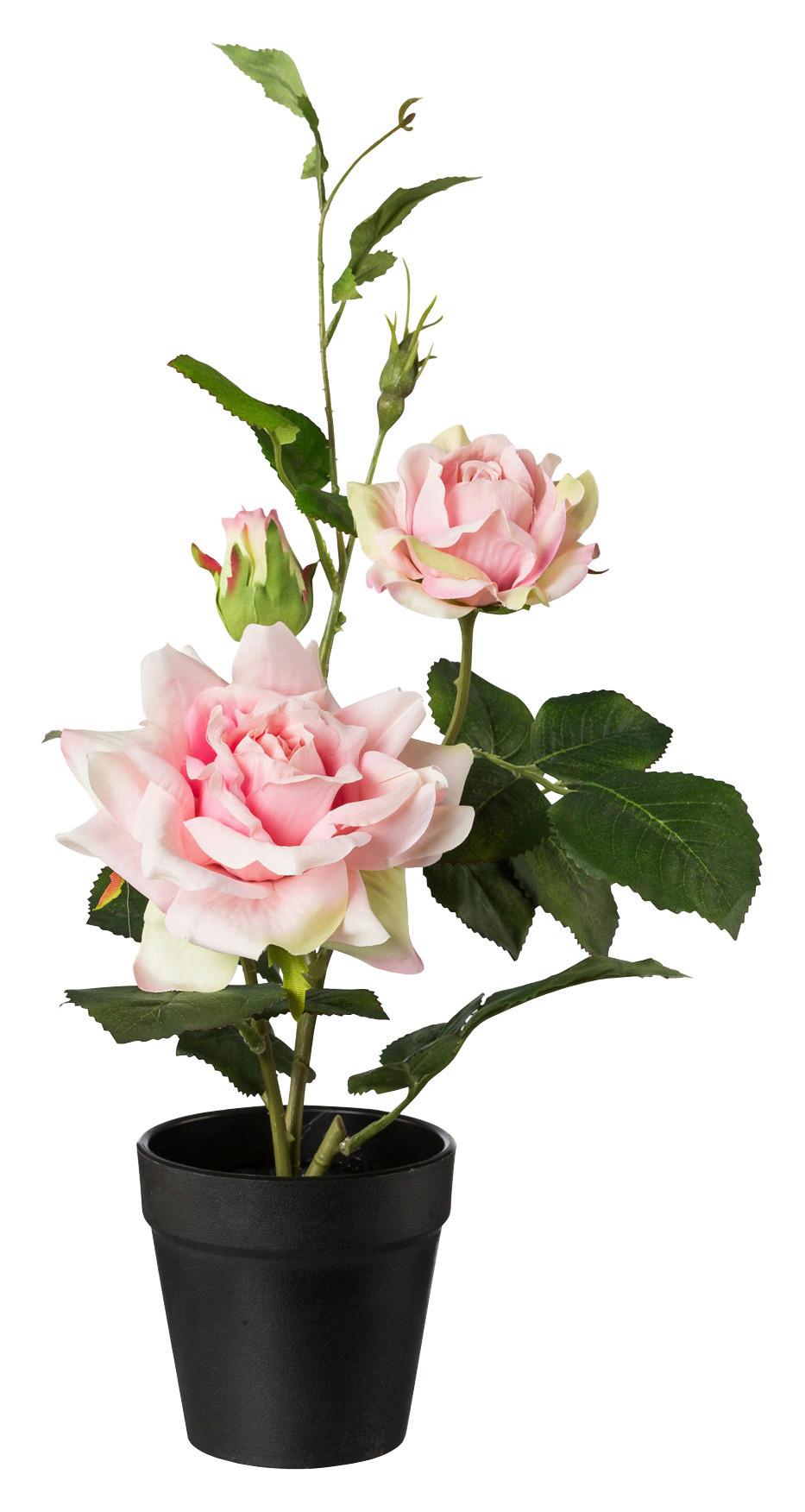 Kunstblume Rosenbusch Rosa L: 40cm, Ella - Rosa/Grün, ROMANTIK / LANDHAUS, Kunststoff (40cm)