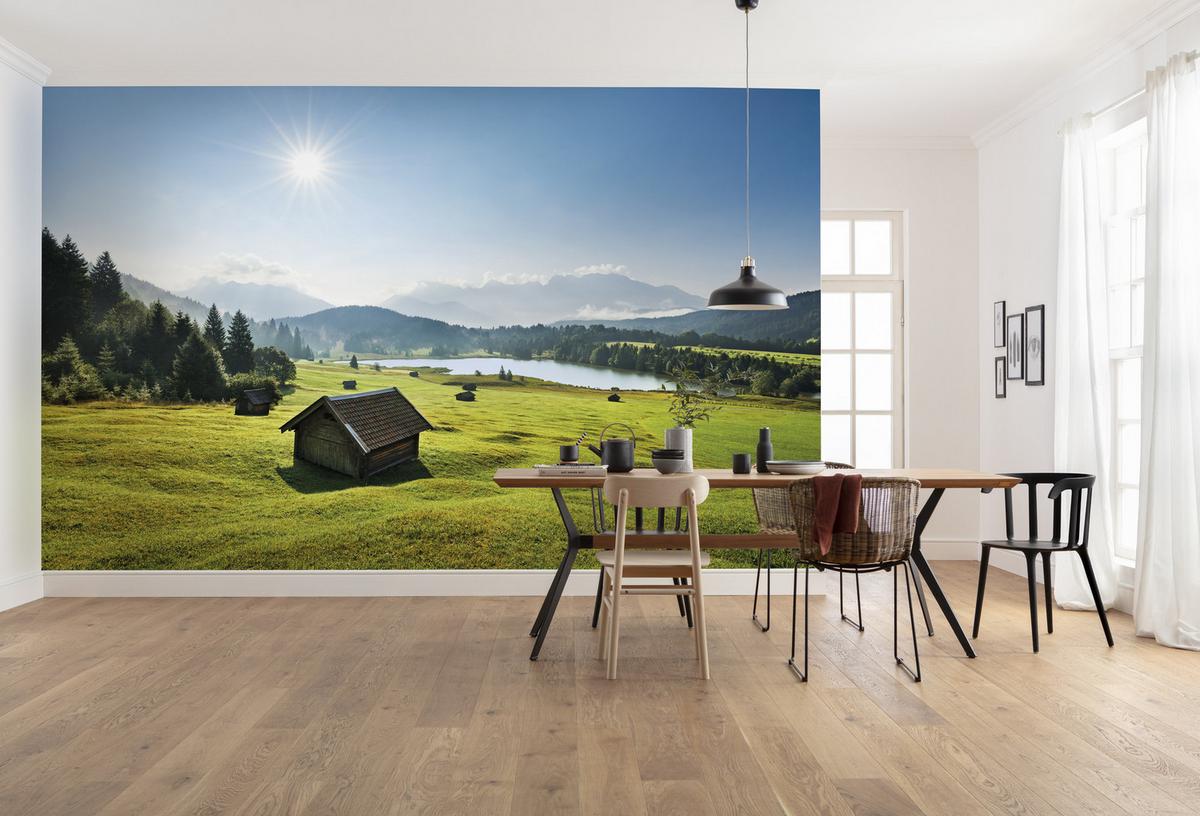 Fototapete Bergwiese Vor Karwendel - Multicolor, Trend, Textil (450/280cm)