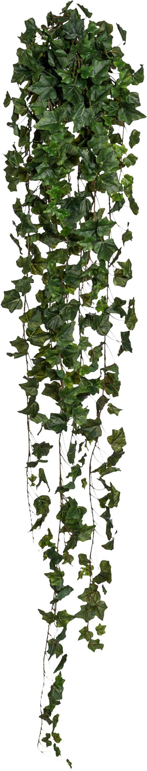 Kunstpflanze Hängepflanze Grün, 170 cm - Grün, Design, Kunststoff (170cm)