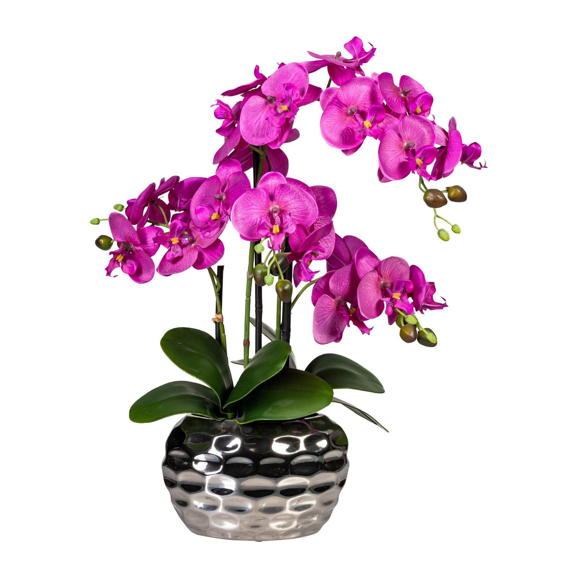 Kunstpflanze Orchideen 55  cm Grün, Silberfarben,pink - Pink/Silberfarben, Design, Kunststoff (55cm) - P & B