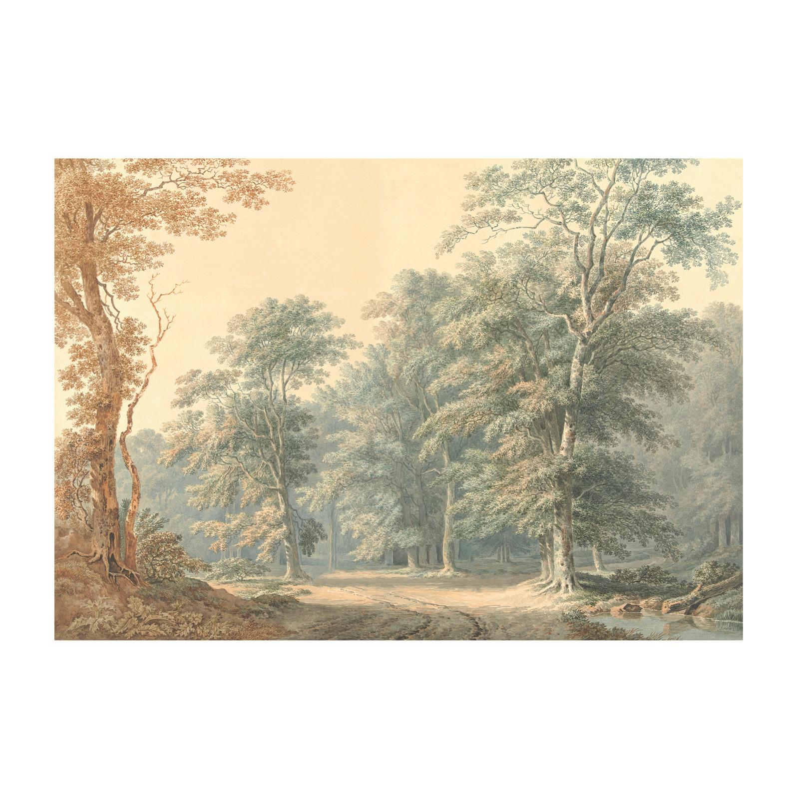 Fototapete Valley - Multicolor, Trend, Papier/Kunststoff (400/280cm)