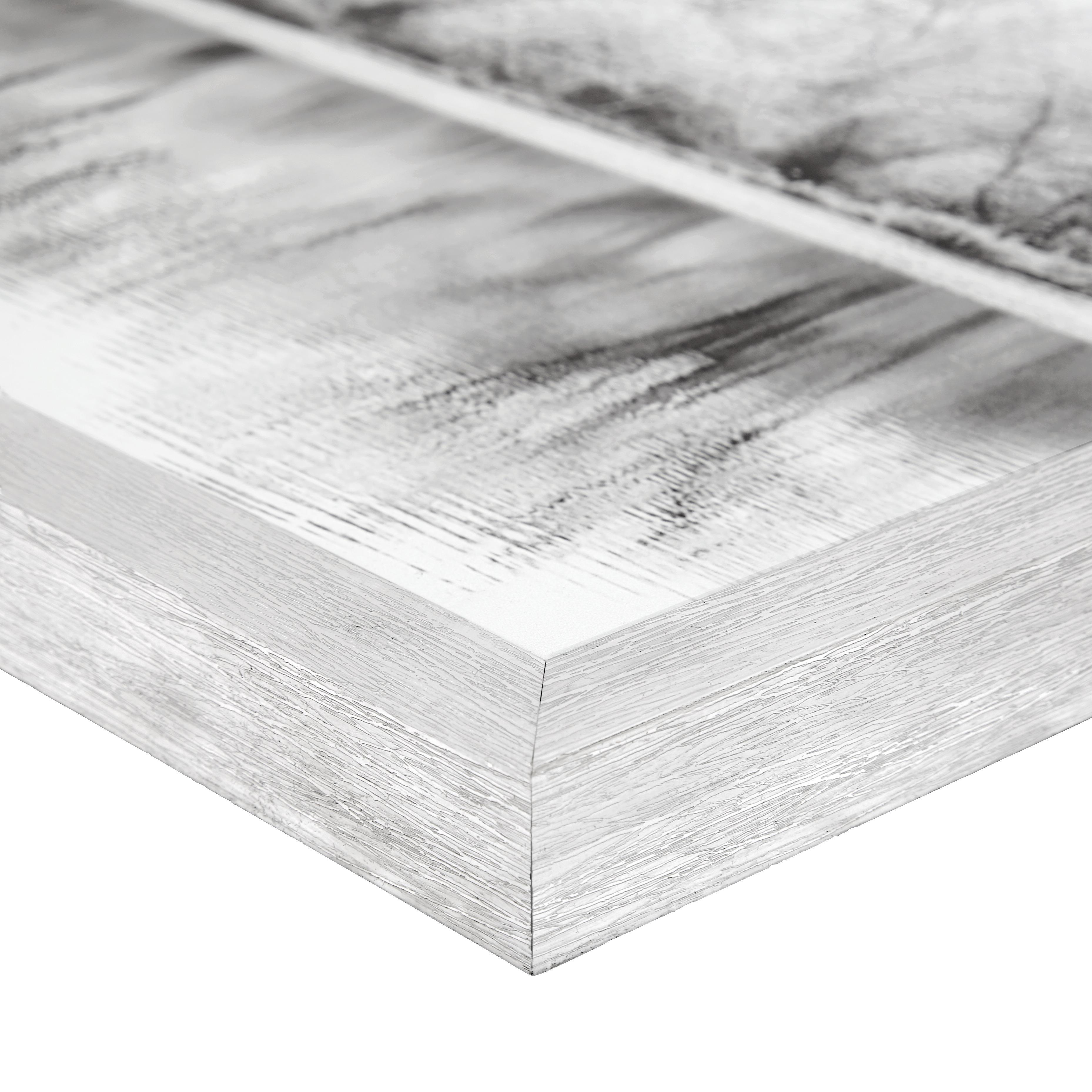 Glasbild Alena Bäume Schwarz/Weiß, 107x37 cm - Silberfarben/Schwarz, MODERN, Glas/Papier (107/37/3cm) - Luca Bessoni