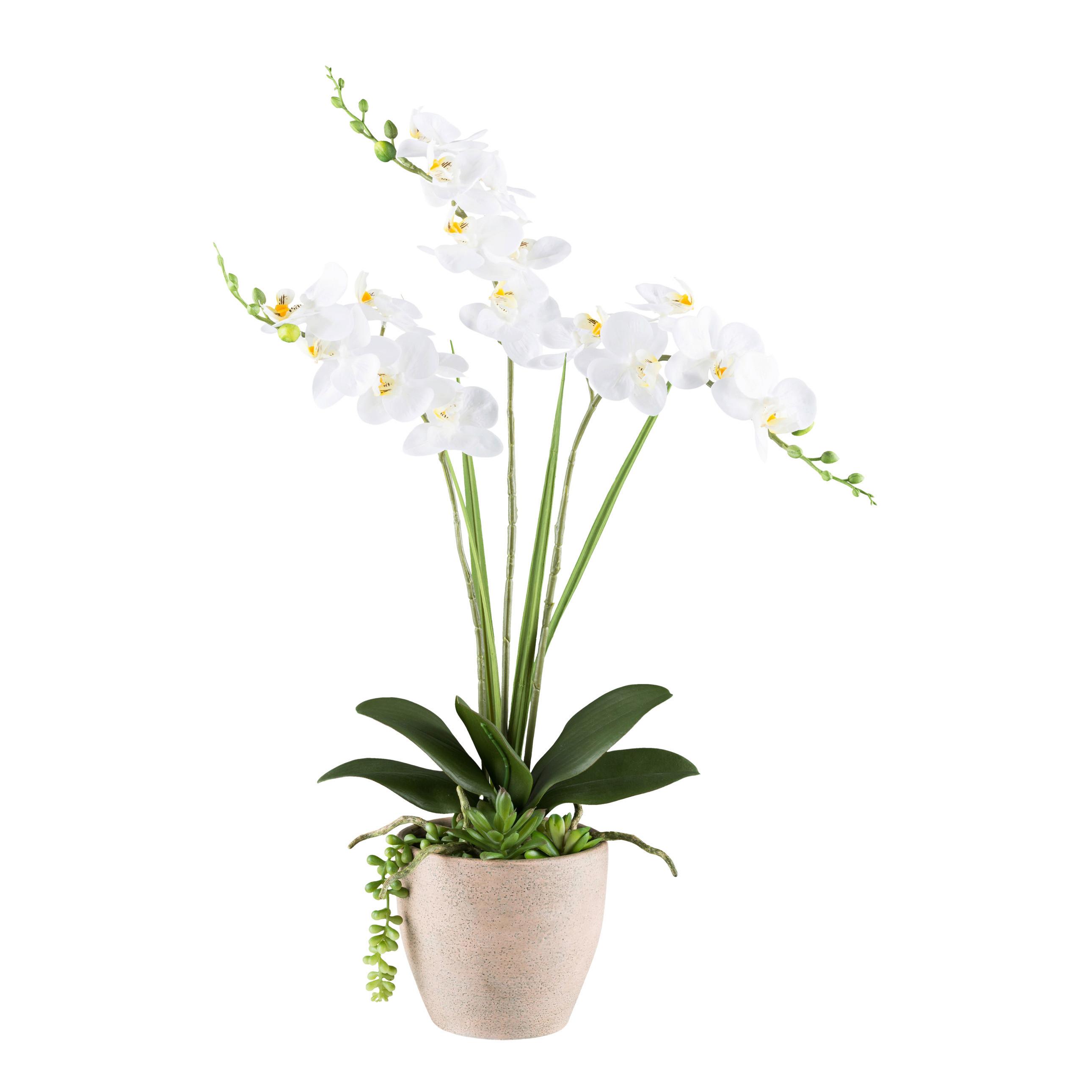 Kunstpflanze Orchideen Braun/Grau/Grün/Weiß, 55 cm - Braun/Weiß, Basics, Kunststoff/Stein (55cm) - P & B