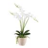 Kunstpflanze Orchideen Braun/Grau/Grün/Weiß, 55 cm - Braun/Weiß, Basics, Kunststoff/Stein (55cm) - P & B