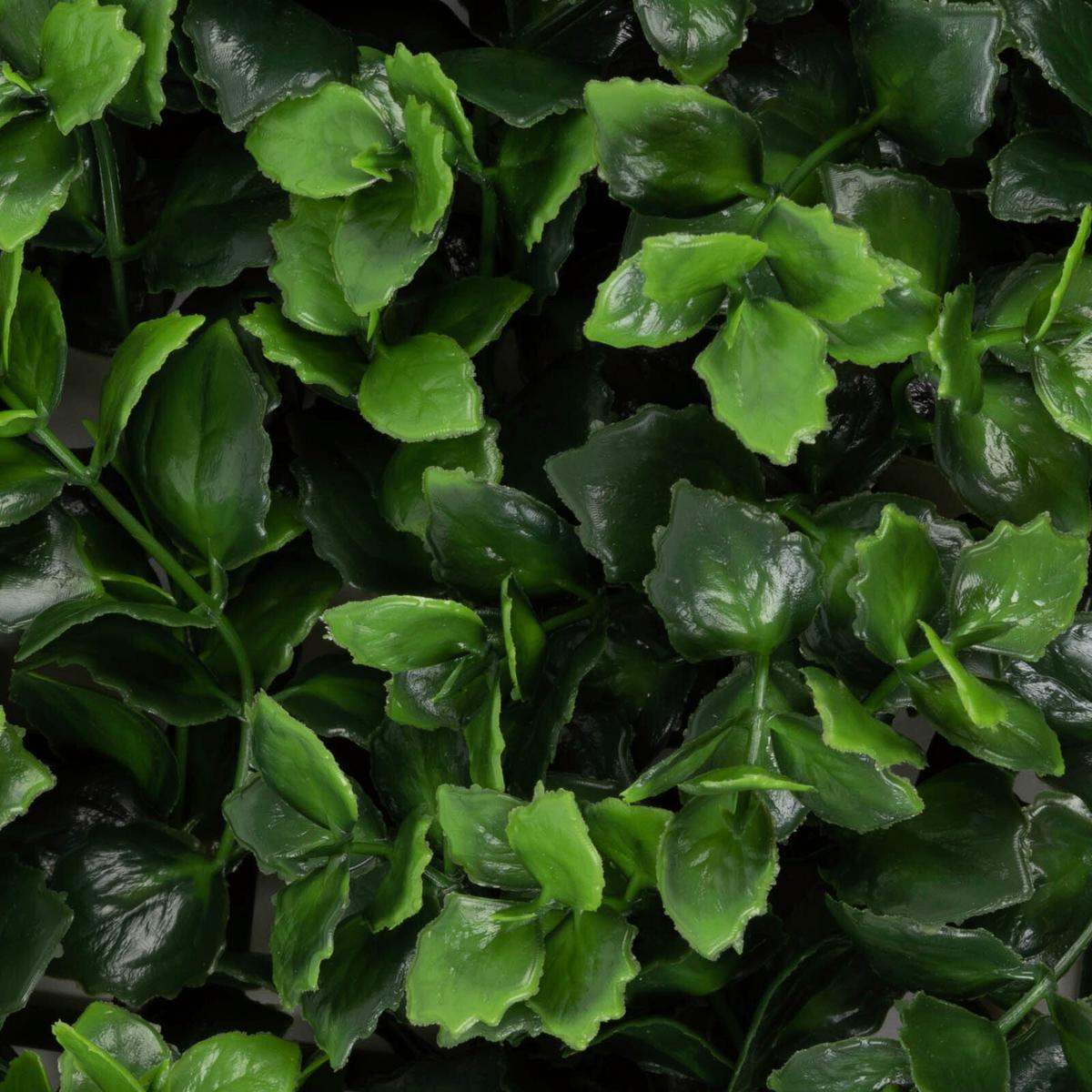 Wandverkleidung Kunstpflanze - Mintgrün, Trend, Kunststoff (50/50cm) - FloorDirekt