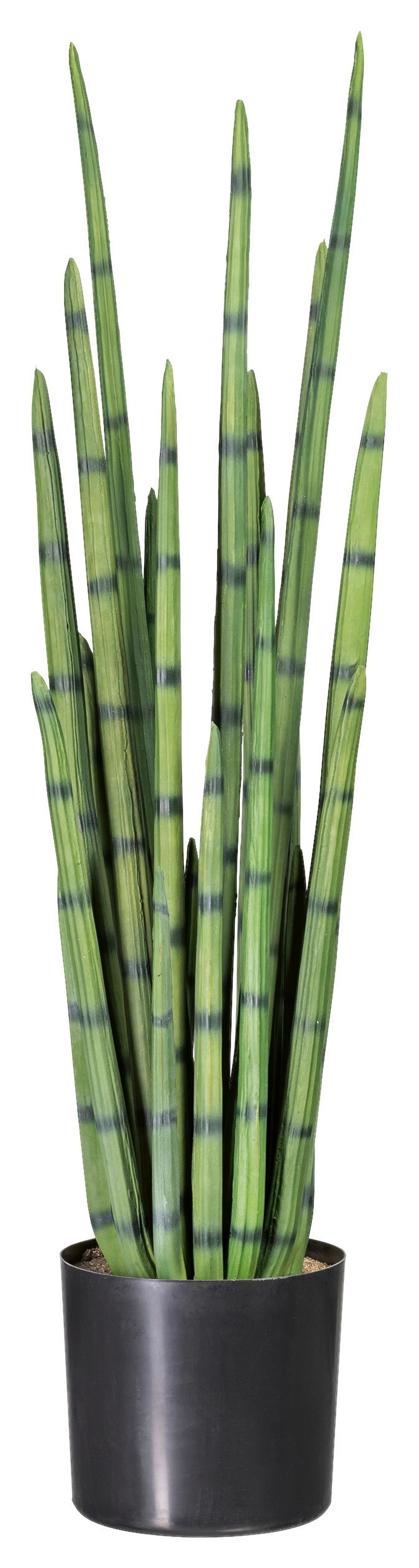 Kunstpflanze Sukkulenten Grün, 100 cm - Schwarz/Grün, Design, Kunststoff (100cm) - P & B