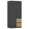 Drehtürenschrank Costa Grau Eiche Artisan Dekor - Eiche Artisan/Grau, MODERN, Holzwerkstoff (91/197/54cm) - Rauch Möbel