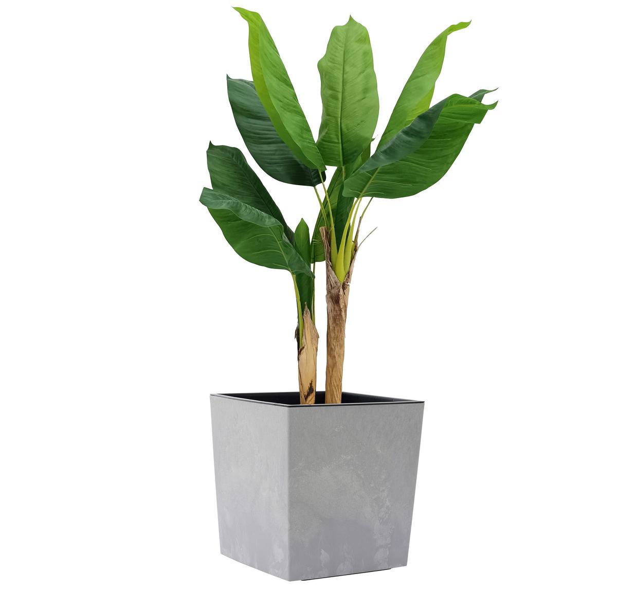 Pflanzentopf Grau B: 40 Cm - Grau, Basics, Kunststoff (40/41/40cm) - Siena Garden