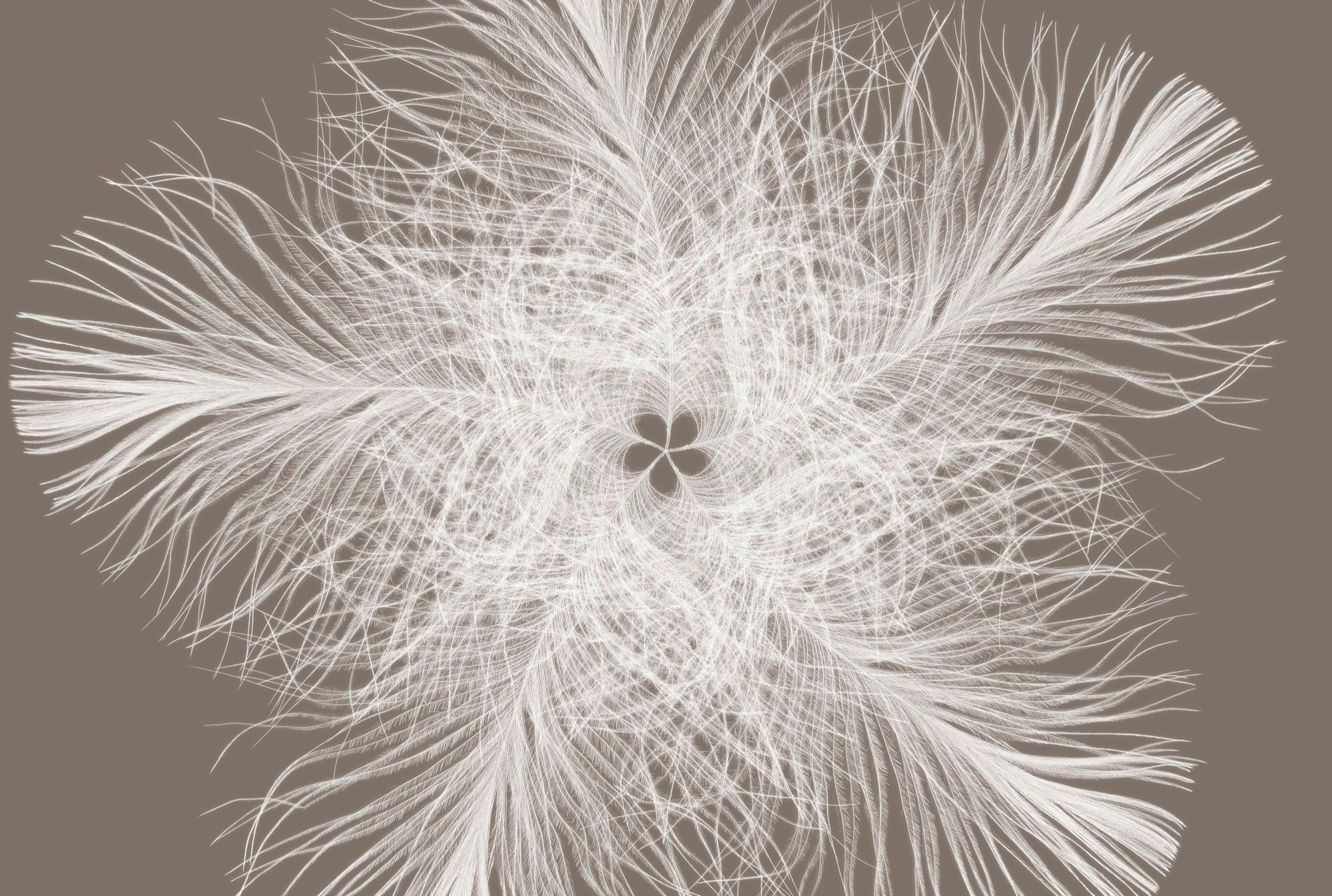 Vliestapete Blume - Taupe/Weiß, Natur, Papier (368/248cm)