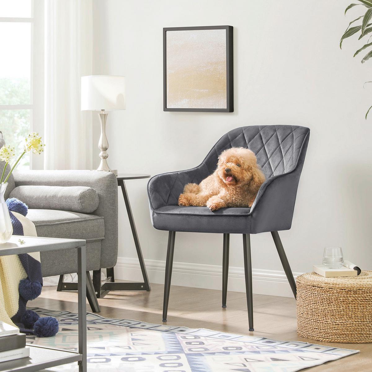 STUHL Grau B: 62,5 cm - Schwarz/Grau, Basics, Holzwerkstoff/Textil (62.5/85/60cm)