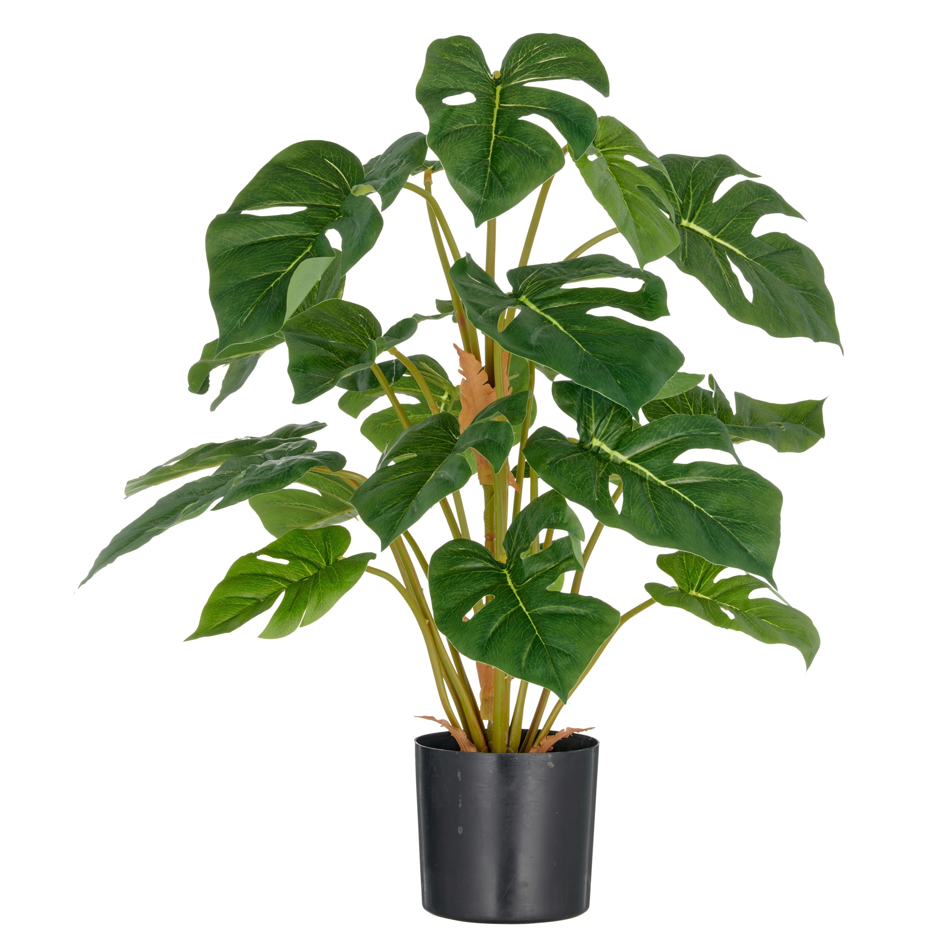 Split Philodendron Kunststoff, Grün, H: 65 cm - Schwarz/Braun, Basics, Kunststoff (65cm) - P & B