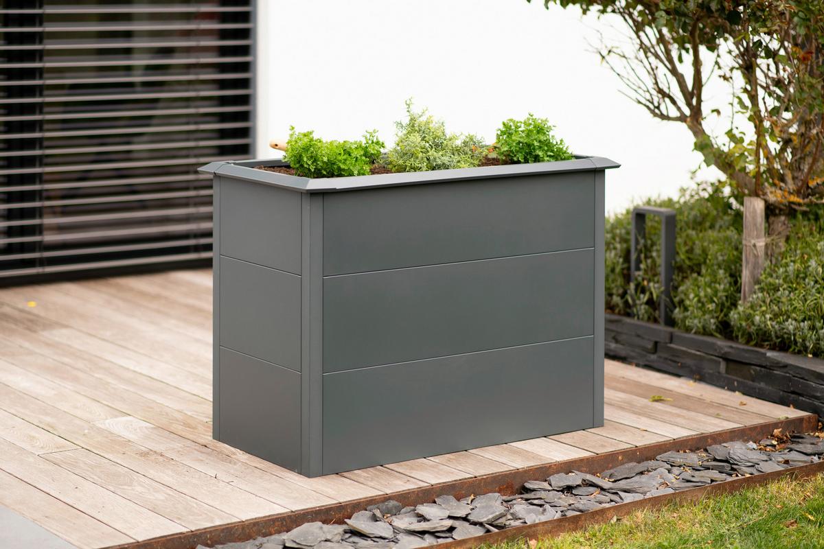 Hochbeet Primus M - Anthrazit, KONVENTIONELL, Metall (50/100/77cm)