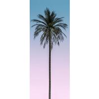 Vliestapete Skyhigh Panel - Multicolor, Basics (100/250cm) - Komar