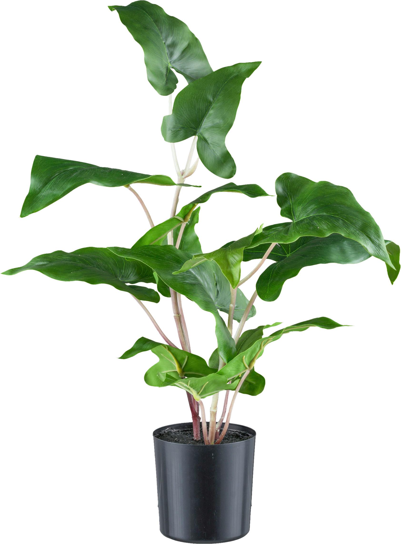 Kunstpflanze H: 50 cm - Schwarz/Braun, Design, Kunststoff (50cm)