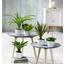 Rostlina Umělá Agave I - zelená, Konvenční, umělá hmota (38 cmcm) - Mömax modern living Rostlina Umělá Agave I - zelená, Konvenční, umělá hmota (38 cmcm) - Mömax modern living