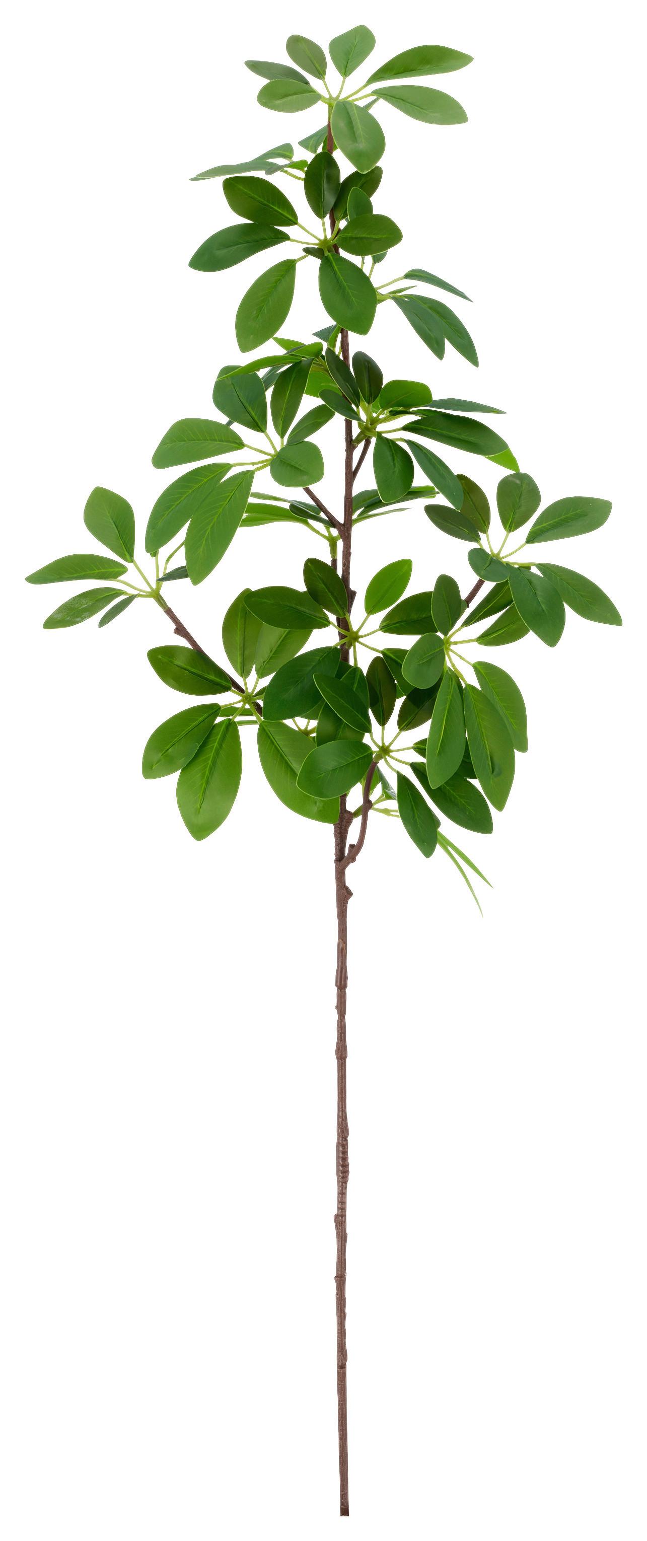 Umělá rostlina šeflera SCHEFFERAZWEIG II -PAZ- - zelená, Basics, kov/plast (73cm) - Mömax