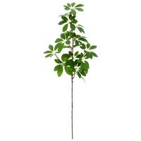 Umělá rostlina šeflera SCHEFFERAZWEIG II -PAZ- - zelená, Basics, kov/plast (73cm) - Mömax