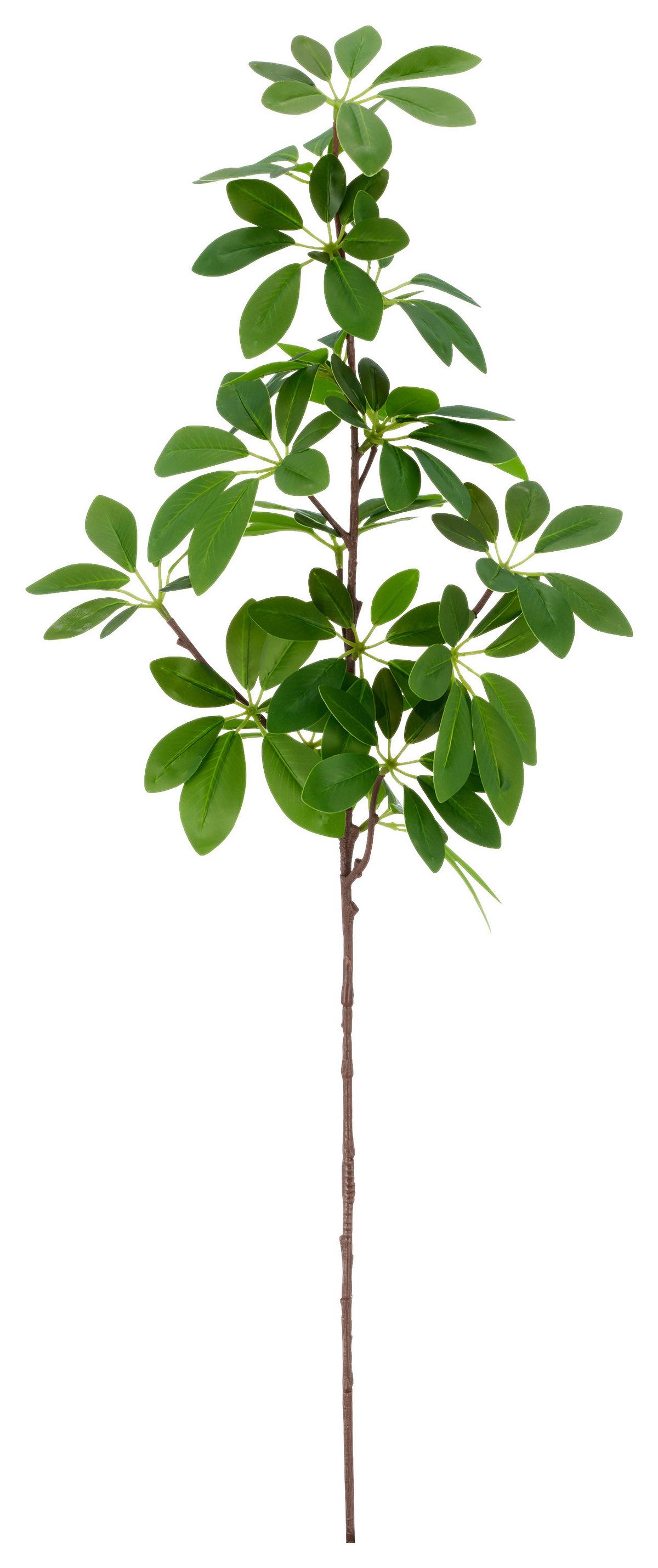 Umělá rostlina šeflera SCHEFFERAZWEIG II -PAZ- - zelená, Basics, kov/plast (73cm) - Mömax