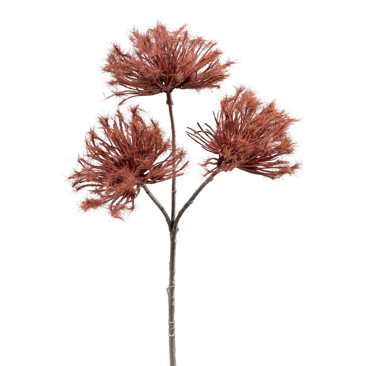 DEKORAČNÍ VĚTVIČKA URCHINZWEIG I - bordeaux/hnědá, Konvenční, plast (37cm) - Modern Living