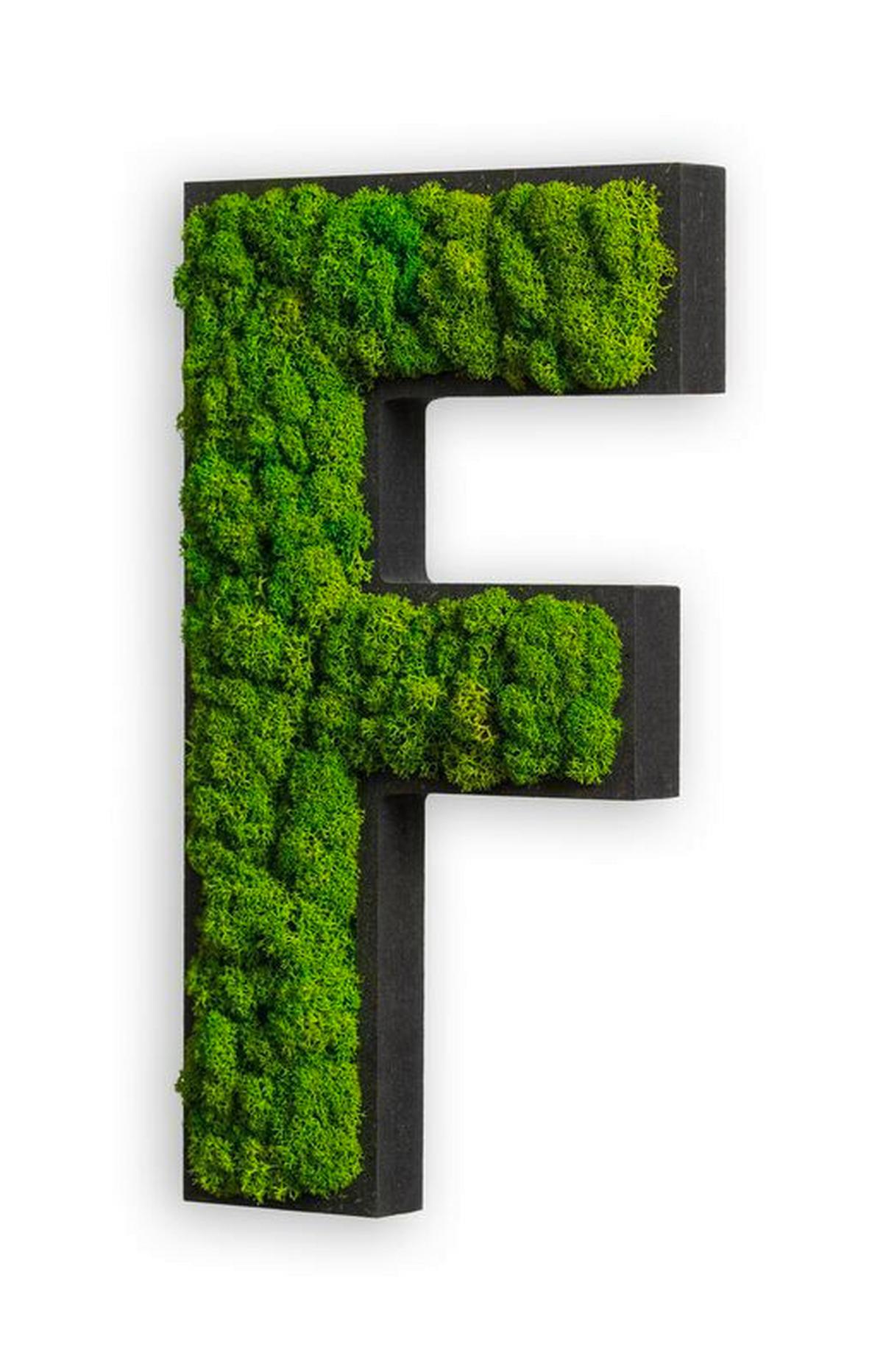 Moosbild Grün B: 25 Cm - Schwarz/Grün, Basics, Naturmaterialien/Holz (12-20/25/3,5cm)