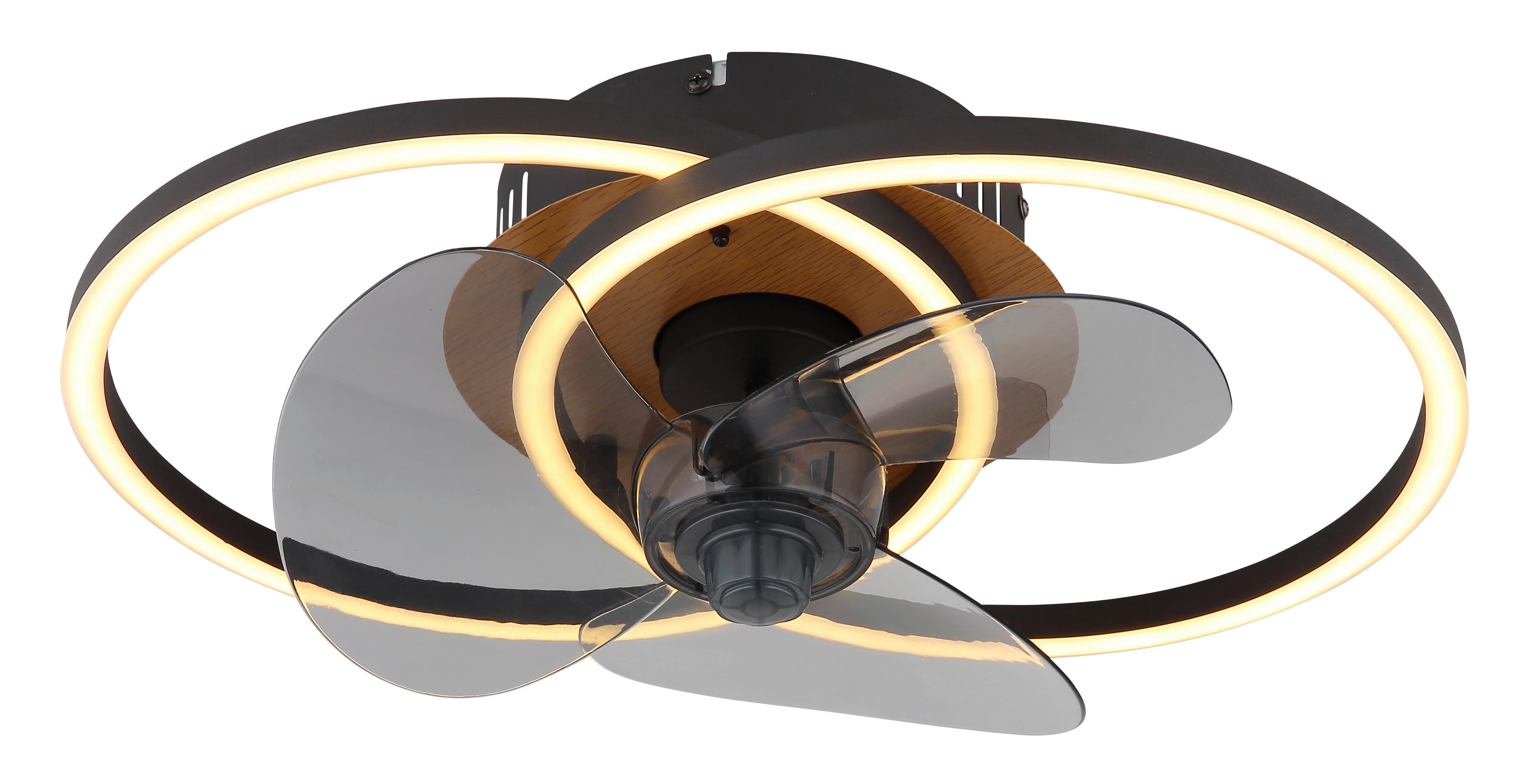 Deckenventilator 03661