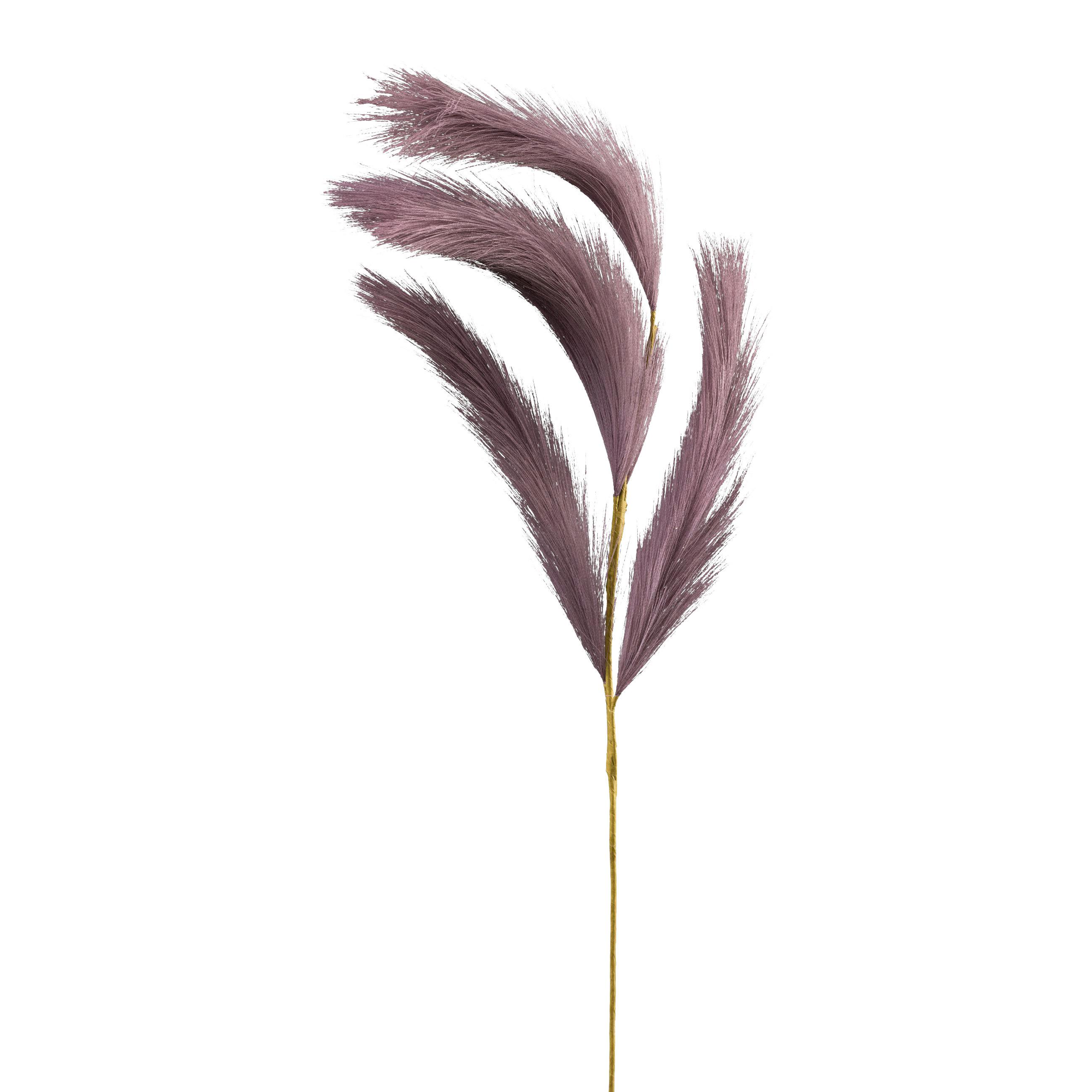 DEKORAČNÍ VĚTVIČKA REEDGRAS I - fialová, Konvenční, plast (80cm) - Modern Living