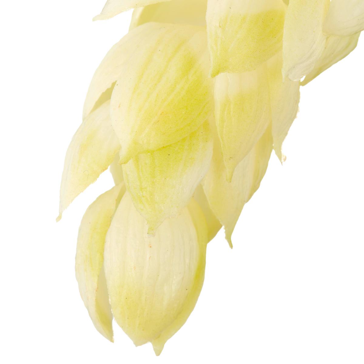 Umělá rostlina HOPFEN I -PAZ- - bílá/zelená, Basics, kov/textil (107cm) - Mömax