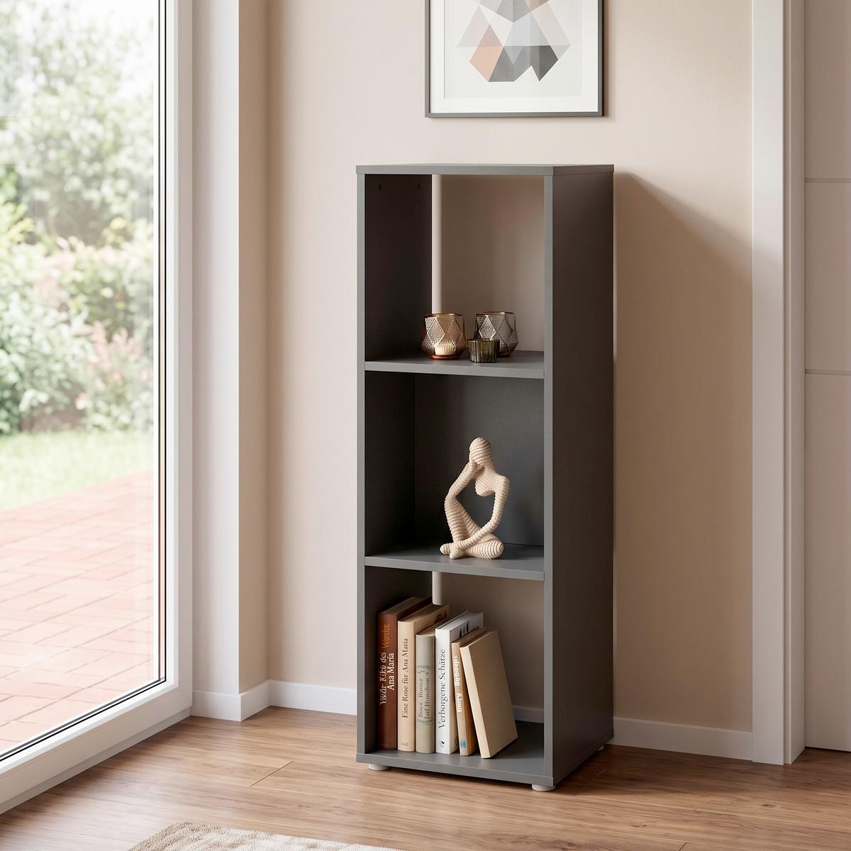 Regal Pisa 13 Anthrazit B: 38,4 cm - Anthrazit, Trend, Holzwerkstoff (38,4/113/35cm)