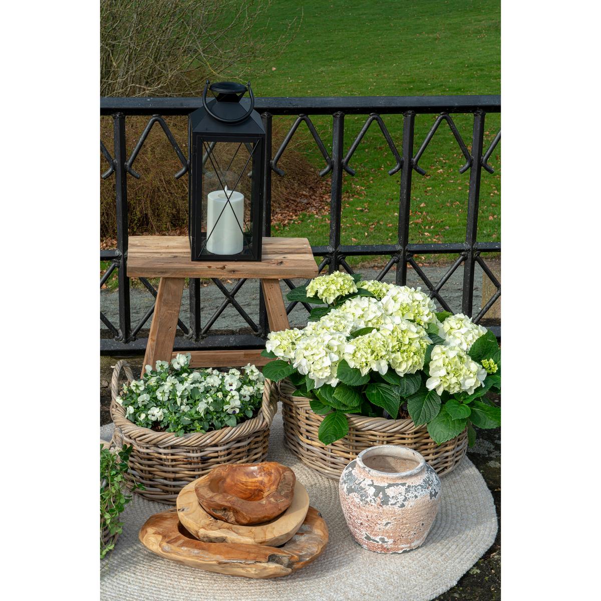 Obstschale Rio Teakfarben B: 40 cm - Teakfarben, Design, Holz (40/12/40cm)