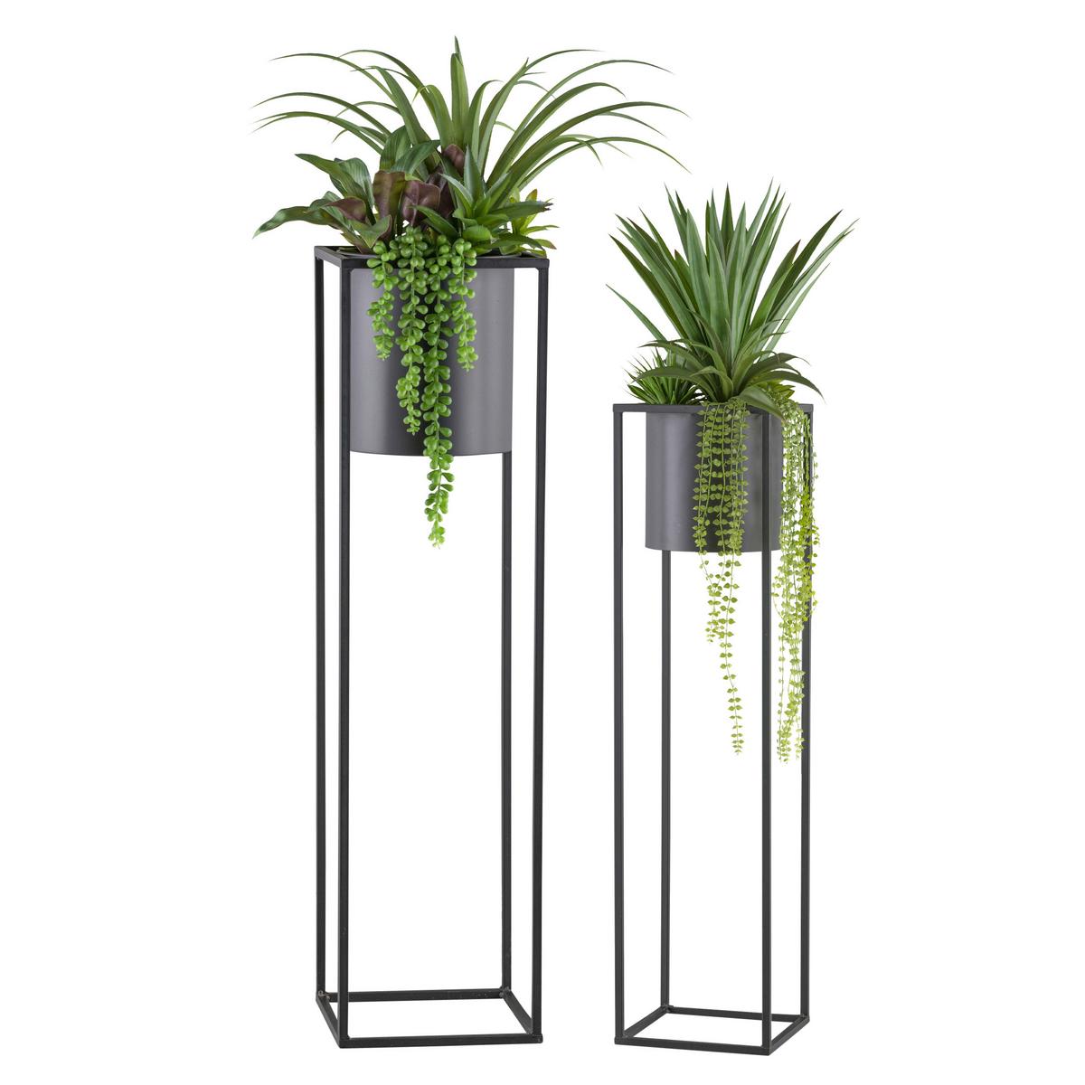 Kunstpflanze Sukkulenten Grau/grün/schwarz, 105 Cm - Schwarz/Grau, Design, Kunststoff/Metall (105/135cm) - P & B