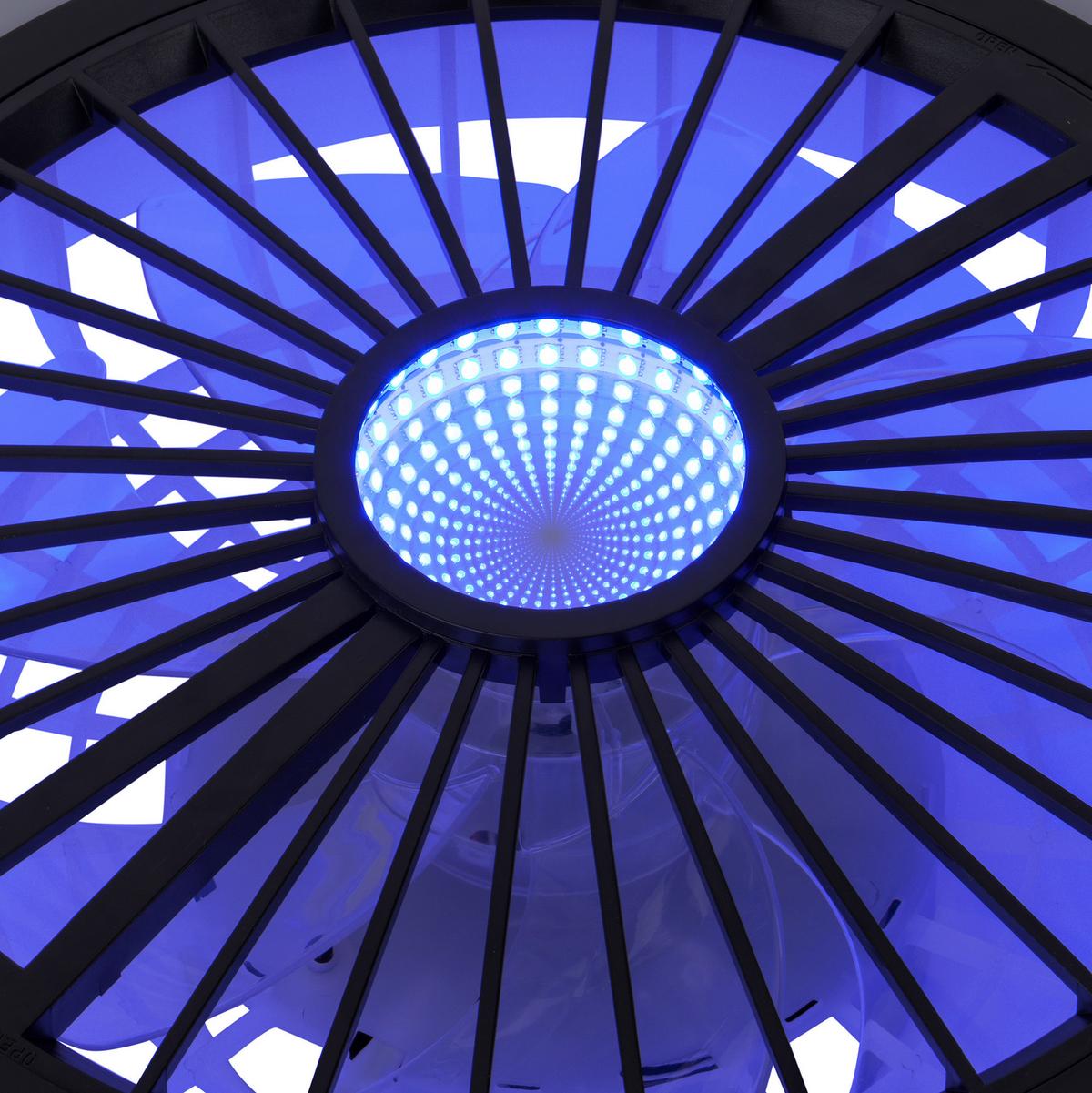 Led-deckenleuchte 1408622 Arioso - Schwarz/Weiß, KONVENTIONELL, Kunststoff/Metall (54/16cm) - Näve