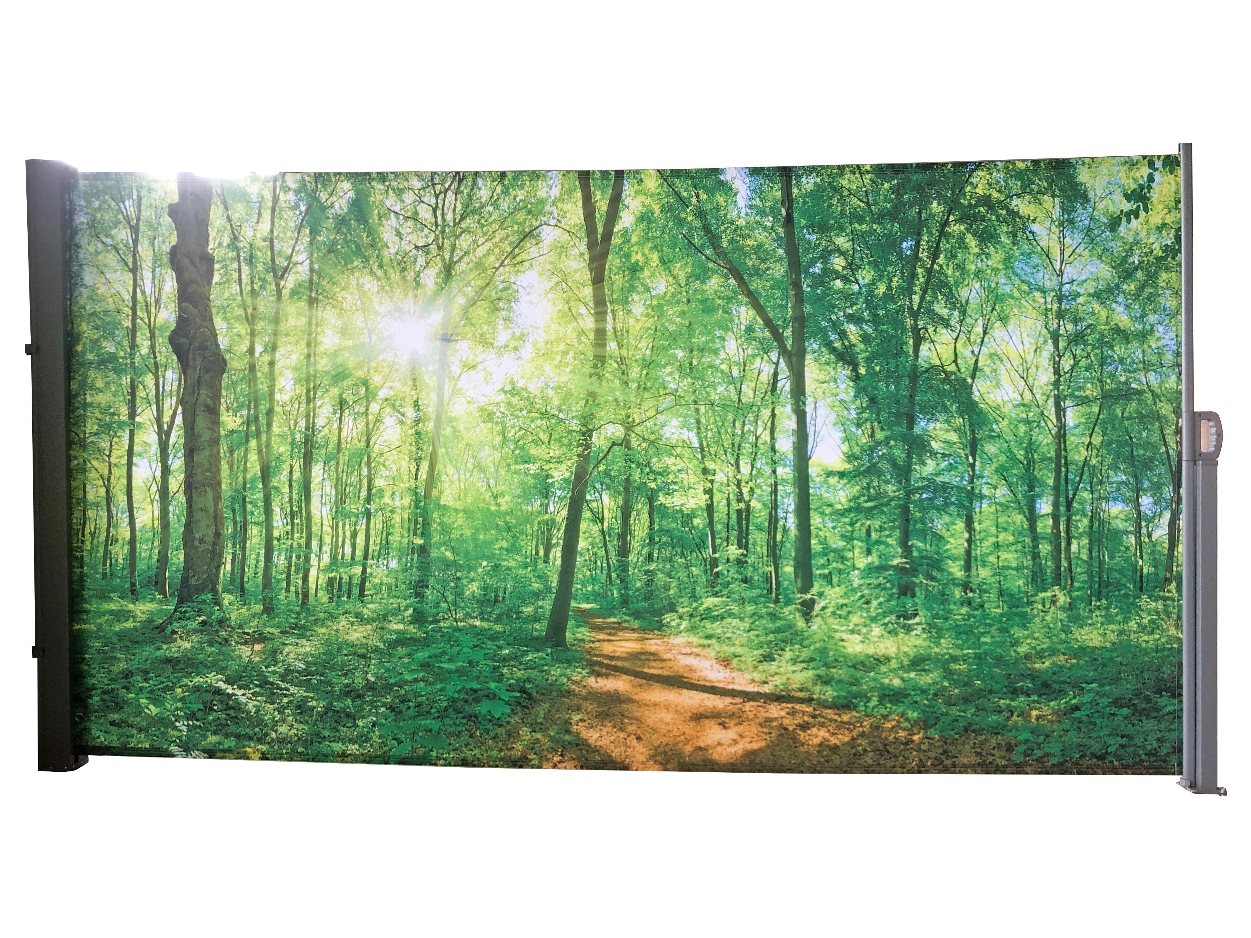 Seitenmarkise 300x160 cm Bunt Waldlichtung ausziehbar - Silberfarben/Grau, Basics, Kunststoff/Metall (300/160/9cm)